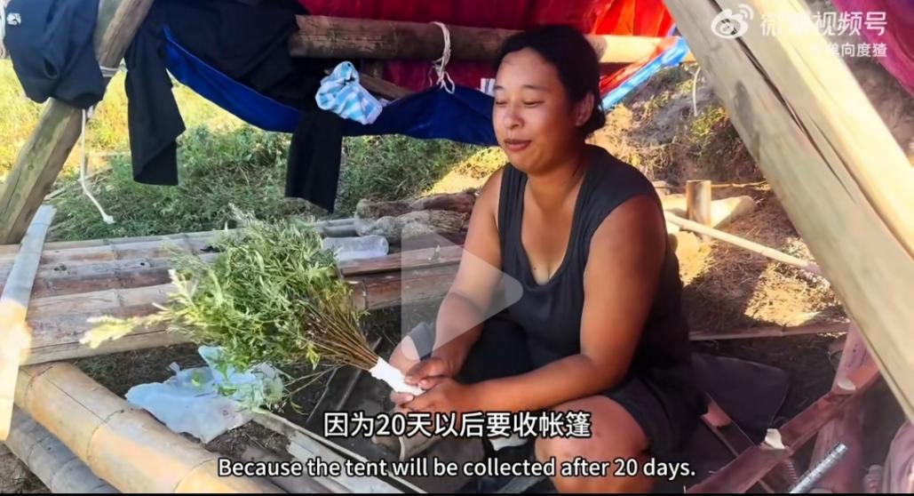 從白領到“海島戰神”!25歲女孩35天暴瘦28斤,還吃了50只老鼠?